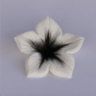 Colours Dust Preto 7g - JustAddLove